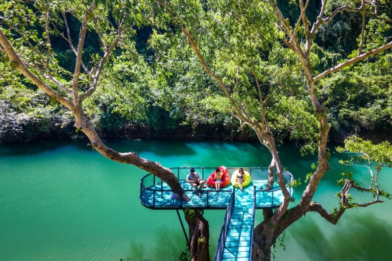 Thư giãn trên cây ven suối Blue.