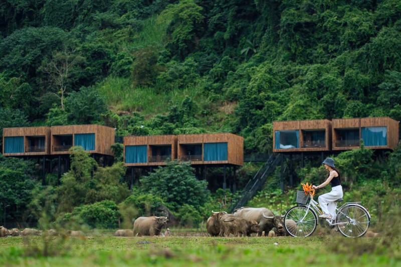 Tú Làn Lodge độc đáo với phòng nhà tiền chế lắp ghép trên núi.