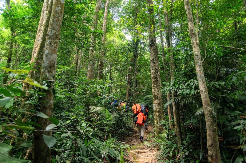 Khám phá thiên nhiên mùa xuân, trekking lý tưởng!