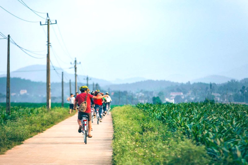 Khám phá làng quê, đạp xe giữa đồng ngô xanh.