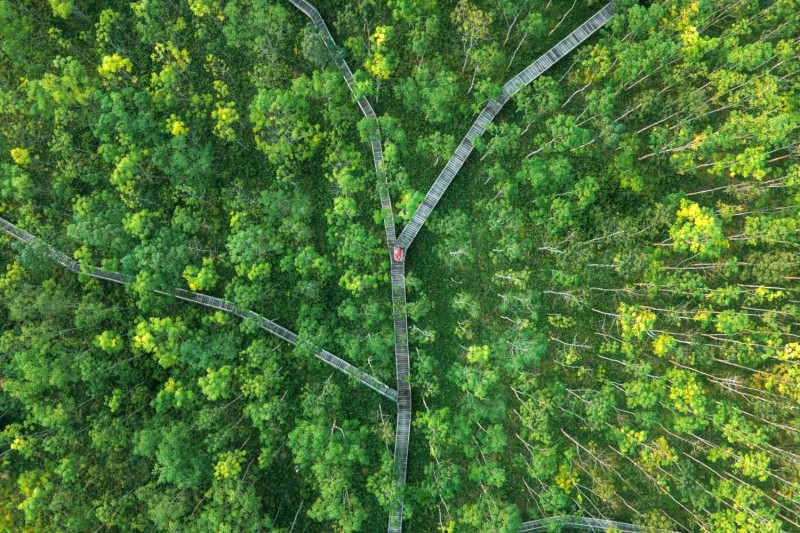 Đường dây nối các khu cắm trại.