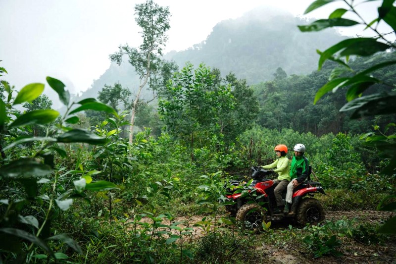 ATV băng rừng Lim cổ thụ.