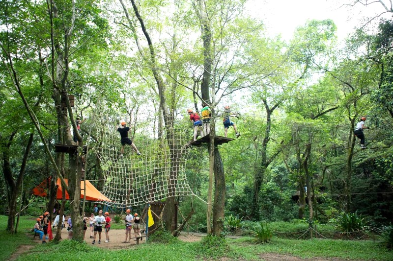 Trò chơi trên cây phù hợp mọi lứa tuổi.